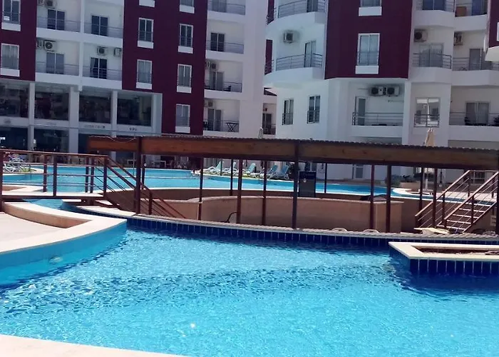 Aqua Palms